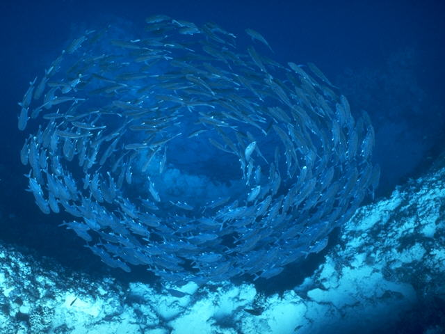 Mare Atlanticum