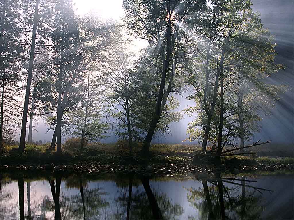 A Köderdő széle